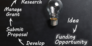 ACSR Funding Opportunity: YIA