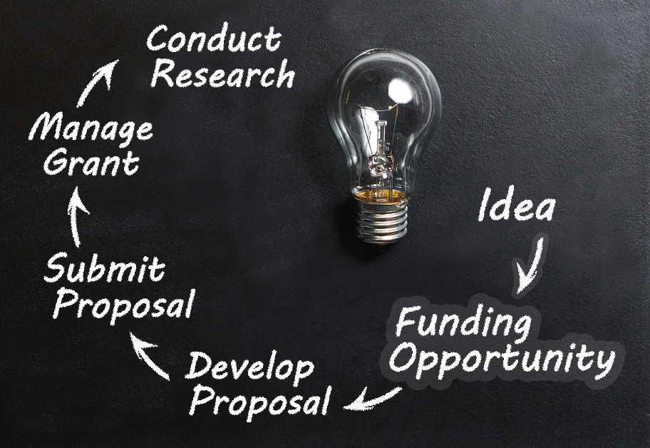 ACSR Funding Opportunity: R01 Research Project Grant