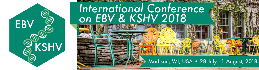 2018 EBV & KSHV 