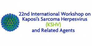 2019 KSHV and Related Agents