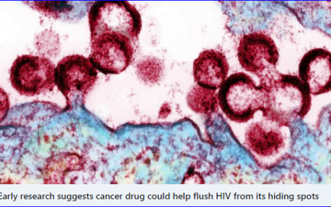 Pembro flush HIV from its hiding spots
